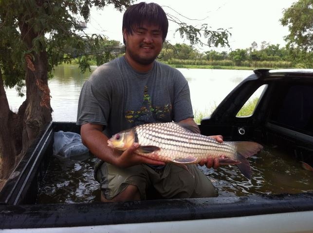 yee-sok-thai