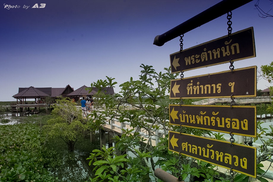 ตัดมาที่ทะเลน้อยเลยล่ะกันนะครับ ถึงซะที ปาเข้าไปเที่ยงกว่าๆ  :laughing: :laughing: