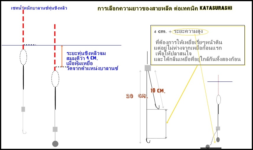 จากภาพการเซททุ่นชิงหลิวลอยขอเดียว ถ้าทุ่นลอยเหยื่อปรกติ
เรา รู้ขนาดตำแหน่งข้อสีก่อนหุ้มเหยื่อและหลั