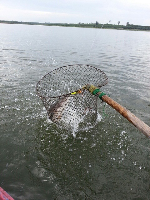 ไม่พลาดครับ...ขึ้นเรือมาอวดโฉมกันหน่อย Risto HM เนี่ยไม่เคยผิดหวังจริงๆครับ