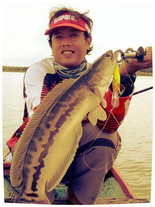 ristorap 8cm สีHM เชื่อได้ว่านักตกปลาคงไม่พลาดที่ต้องมีในกล่อง