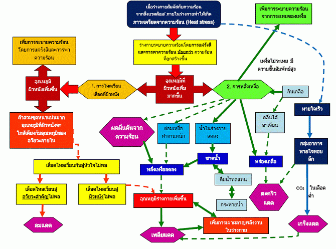 โรคลมแดด (Heatstroke หรือ Heat illness หรือ Heat-related illness) เป็นภาวะที่เกิดจากมีความร้อนในสิ่ง