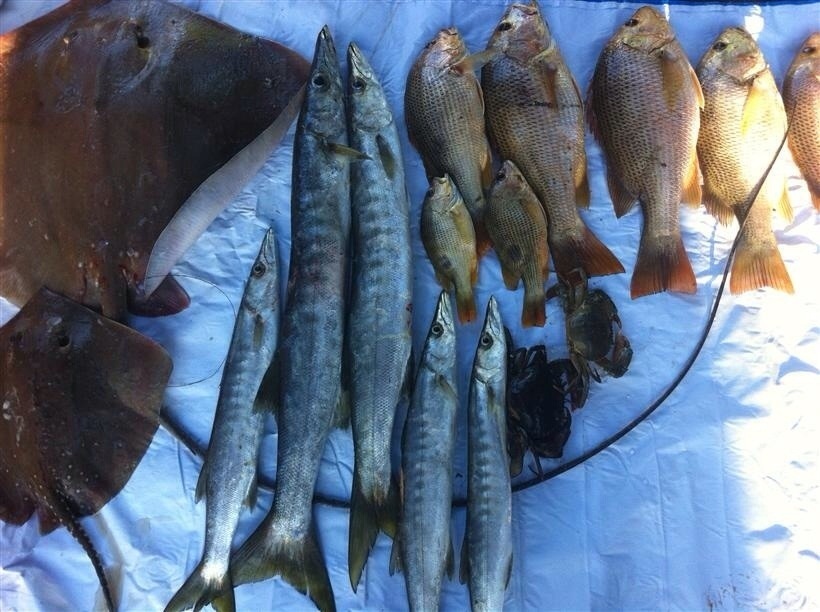 ปลารวม ไม่มากแต่ก็ไม่น้อยสำหรับเวลาแค่ 4-5 ชั่ว พอได้มีปลาเก็บไว้กิน ได้แค่นี้ก็มีความสุขแล้วครับ. ข