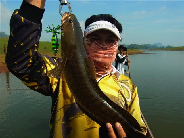 ขอเท่หน่อย