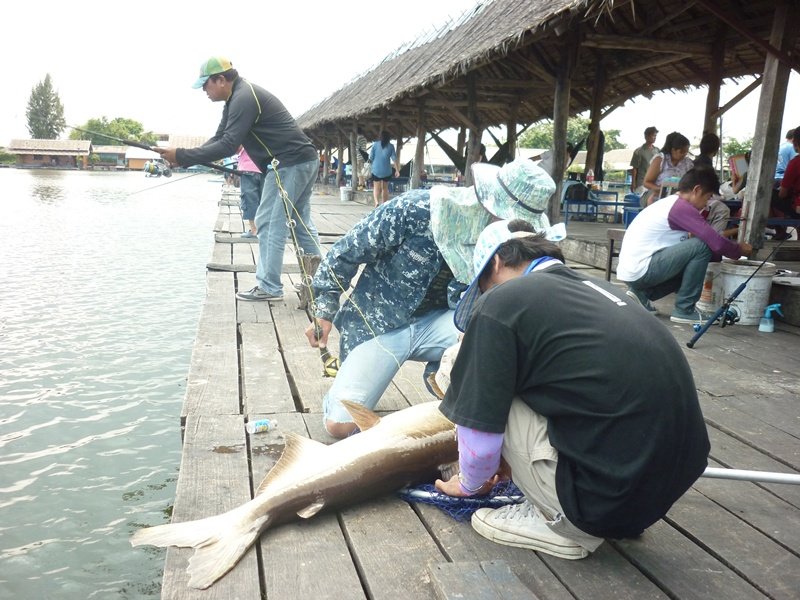                        น้าหน่อย ทีมเด็กวัดแอนด์เดอะแก๊งค์ ไม่ได้ใส่เสื้อทีมคนเดียว  :smile: