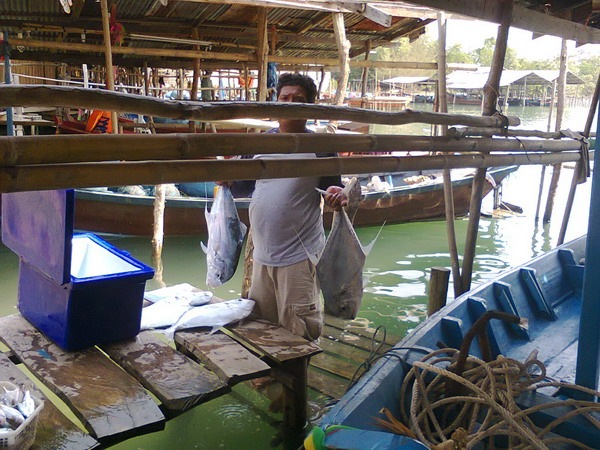 ถึงปากคลอง ที่ท่าเรือ ล้างปลาก่อน