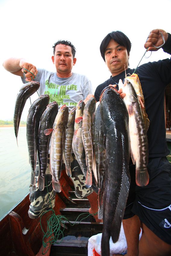 กลับมาถึงแพพัก ก็บันทึกภาพไว้สักหน่อย ไม่พอสามชั่วโมงกับผลงานของเราครับ