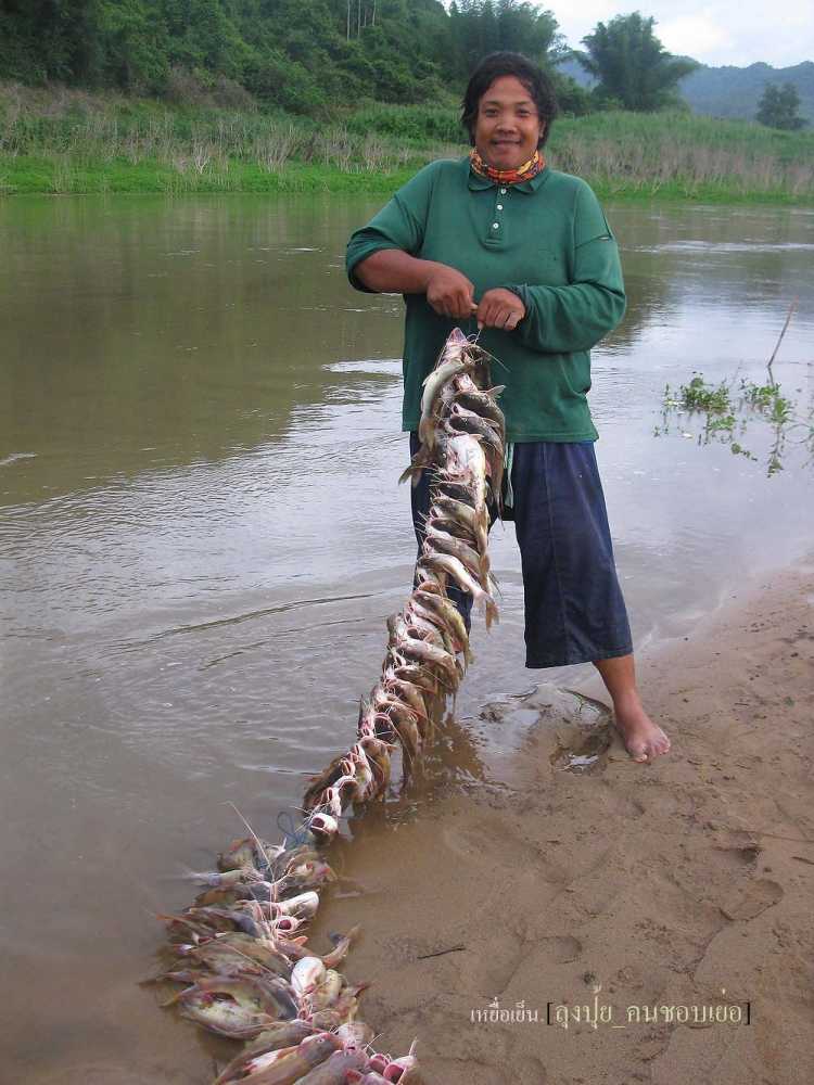 ลากันด้วยภาพเก่าๆเมื่อปีที่แล้วกันเลยครับ    :grin: