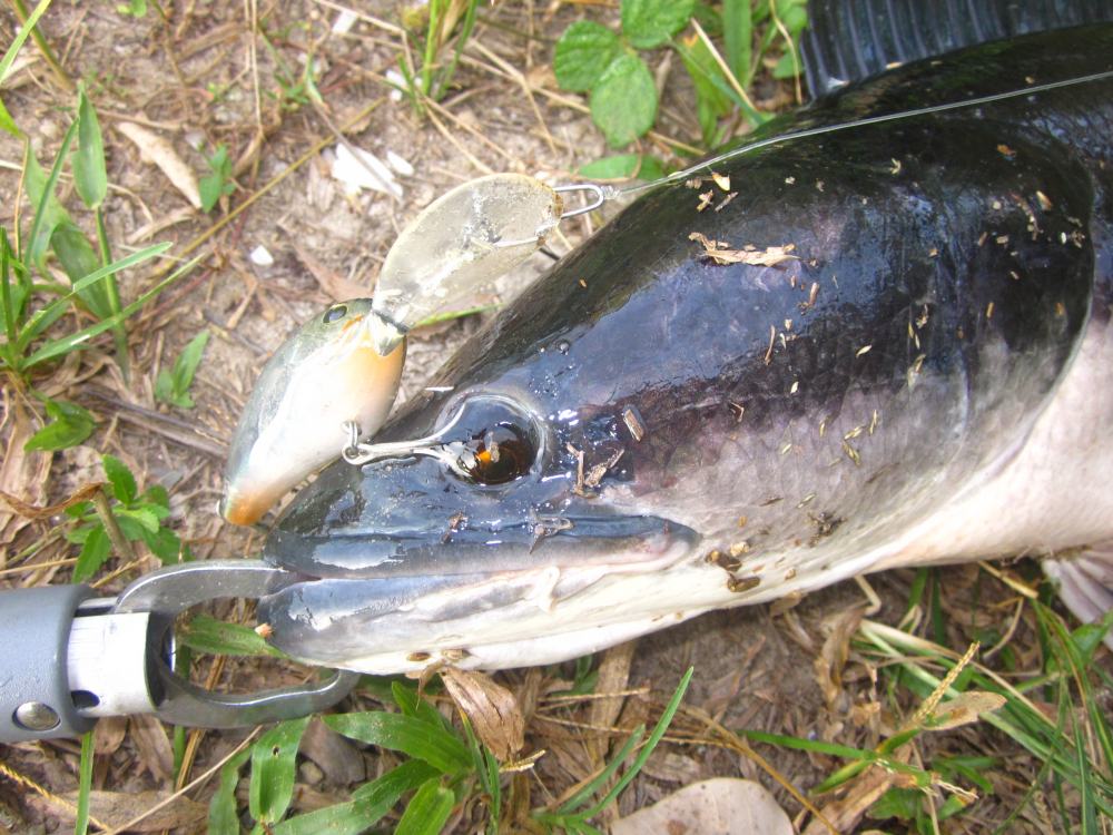 [q][i]อ้างถึง: seabass posted: 04-05-2556, 12:59:11[/i]

 :cheer: :cheer: :cheer: :cheer: :cheer: 