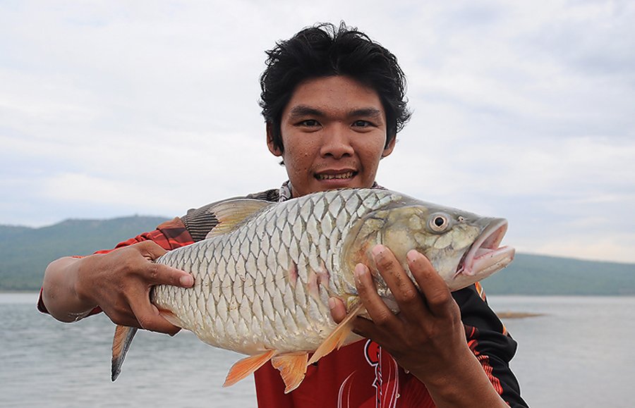 ตัวนี้ใหญ่สุดของนังตี๋  :grin: :grin: :grin: :grin: :grin: