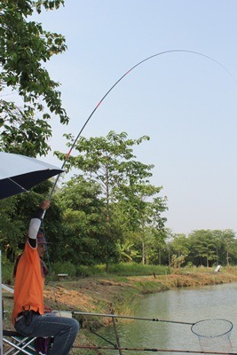 หลังจากน้าใหญ่กลับไปแล้วผมก็รีบสร้างบ้านด้วยความลนลาน ทันใดนั้น...หูข้างซ้ายผมก็พลันได้ยินเสียง ราวก