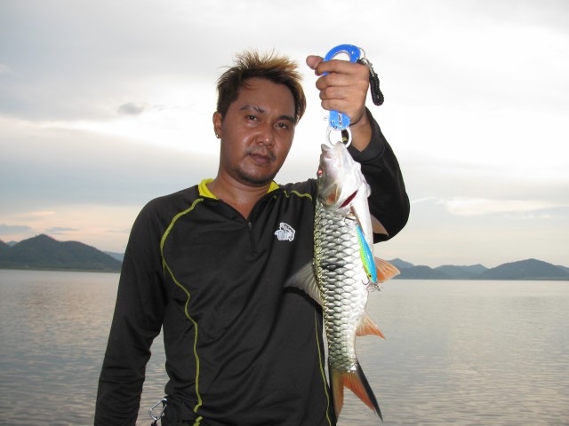 น้ำตื้นน้ำลึก ตีชาร์จแรพไปเหอะ เดี๋ยวมันก็ขึ้นมากัดเอง  :laughing: