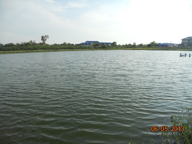 น้ำสวยมากวันนี้