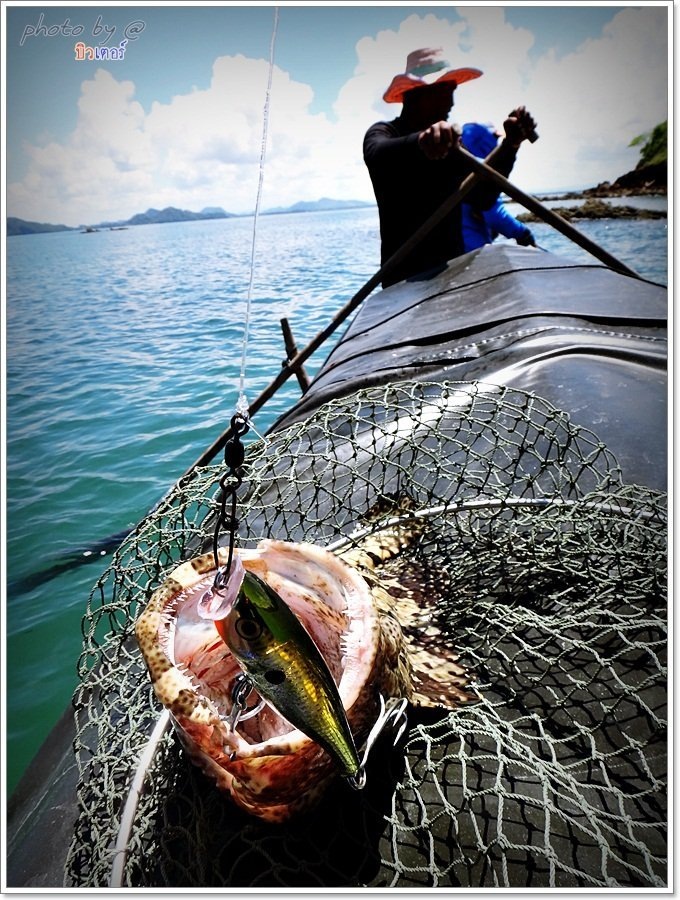  [b]" วู้ วู้ วู้ หรอยเว้ยยยๆ  " เสียงดีใจกันลั่นเรือ

ปลาเก๋าปากเหม็น พิกัดเฉียดโล, อีกตัวด้วยฝ