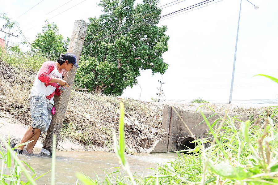  [b]บางครั้ง.....เราก็ต้องซุ้ม....ดูหาจังหวะ[/b]

 :smile: :smile: :smile: :smile: :smile:

 :la