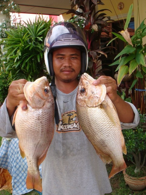 มาถ่ายรูปกันอีกทีที่บ้านของผมครับ :cool: :cool: :cool: