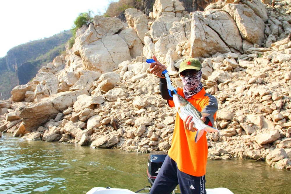 ครั๊กๆๆๆๆ  ทริปนี้ ลอดแห้วแระ  .....    :grin: