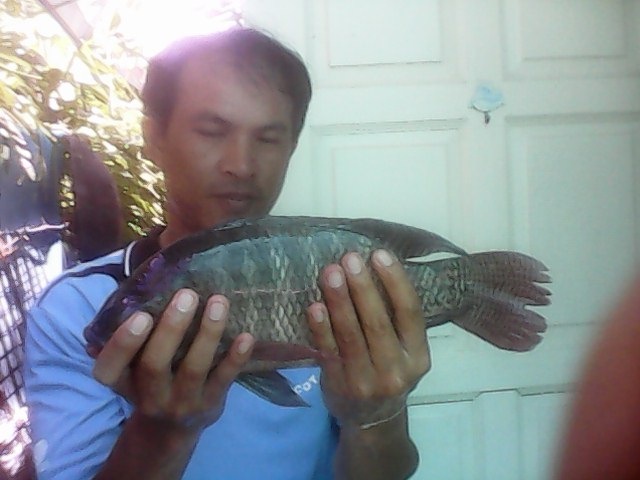 ตัวแรกคับของ2เดือนที่ผ่านมา!!!!    ต้องการความช่วยเหลือคับ...ประสบการน้อย