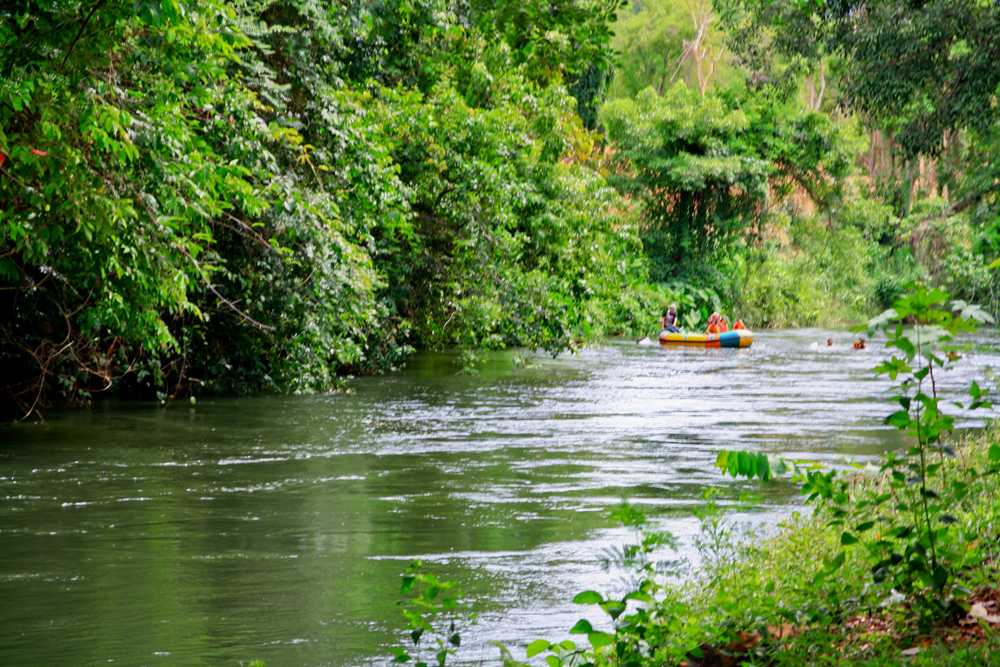 มีเรือล่องแก่งผ่านมาเรื่อยๆ เป็นระยะๆ แต่ก็ไม่ทำให้ปลาที่นี่ตื่นเลย สงสัยจะชินแล้ว

 :smile: :smil