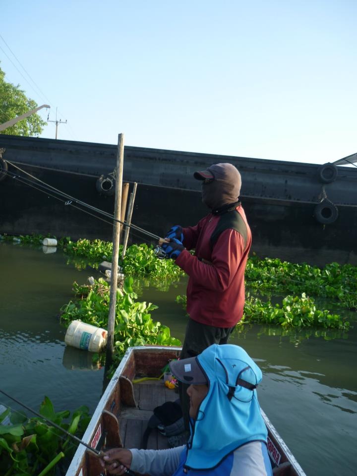 บ่องตง !!! ที่ปลามันกัดเหยื่อ เพราะมันตาบอดเชื่อผมสิ!! :cool: :cool: :cool: