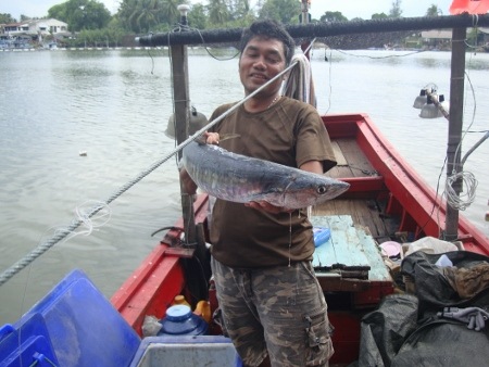 สำหรับปลาอินทรีเช้านี้ และไม่ได้ส่งขึ้นชั่ง เพราะรู้ว่าแพ้ทีมอื่น รวมทั้งปลาเกมส์ก็ไม่ได้จึงไม่อยากใ