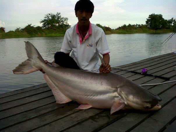 ท่าอะไรดี