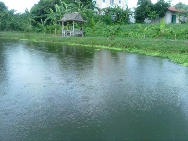 แล้วฝนก็พร่ำลงมา  แต่ไม่หนักครับ  แต่อากาศรุสึกไม่ร้อนมาก ดีครับ...
 :grin: :grin: :grin: