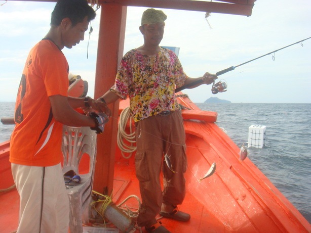น้องอี๊ด นักวิชาการ บ่อกุ้ง ซีพี จากรัฐซาบาห์ ประเทศมาเลเซีย กลับมาไทย 4 เดือนครั้ง  ช่วยปลดปลา กันไ