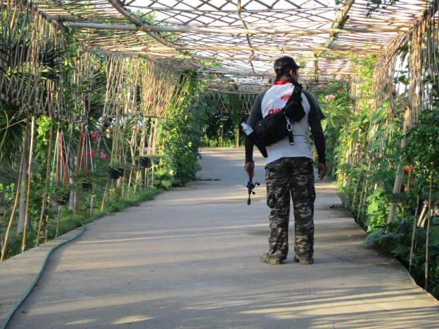 เดินกินลมชมวิวภานในบ่อก็มีความสุขแล้ว บรรยากาศดีมากๆ