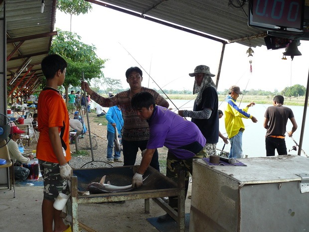 คุณกุ้ง กะ พี่แดง ดอนเมือง หิ้วกันมาแว้ว :cool: :love: :grin: :grin: