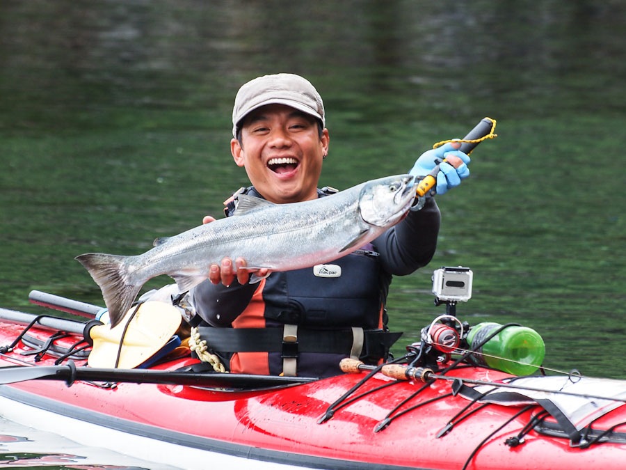 แซลมอนชิลนุ๊กตัวงามๆ Chinook Salmon ได้ขณะไล่ตามตีเหยื่อปลอมตามฝูงแซลมอนสีชมพู ตามแนวสาหร่าย  :smile