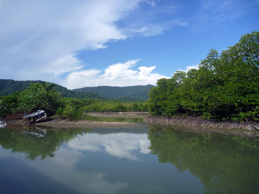  [center]ทำเลสวยครับ เป็นปากคลองป่าชายเลน

[b]ป่าชายเลน[/b] ภาษาอังกฤษก็คือ [b]Mangrove Forest[/b]