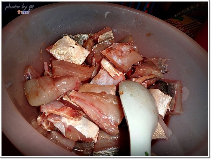  [b]ปลากระมง ปรุง-ผงอาคม ตรา-รสดี

ก่อกวนให้เข้าที่ รอหมักน้ำมันองุ่น ดองตู้เย็น 7 วัน    แล้วทอดก
