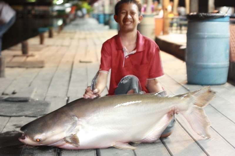 น้องบอกว่า ปลาสวายไซด์ 3 โลคับ
 :laughing: :laughing: :laughing: :laughing: :laughing: :laughing: :