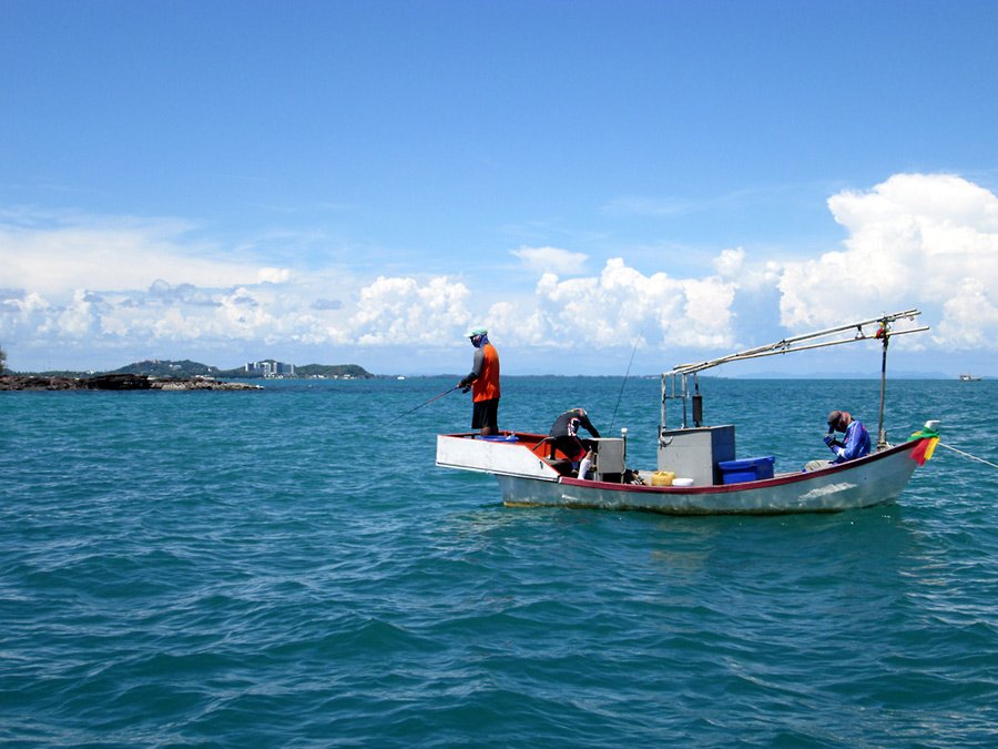 

ภาพเรือลำของผม จากกล้อง น้าหรั่ง    :laughing: :laughing:   




เรือเหมาะมากๆสำหรับ  ตีเหย