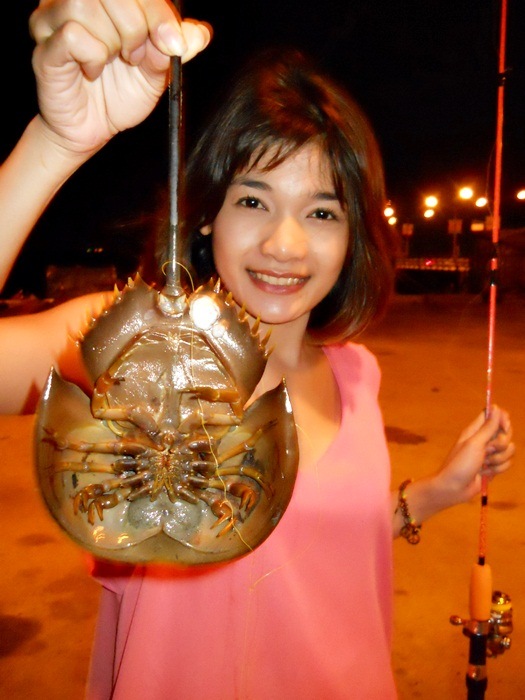 นี่เลย เมย์ตกได้ UFO คร่าาาา  :laughing: :laughing: