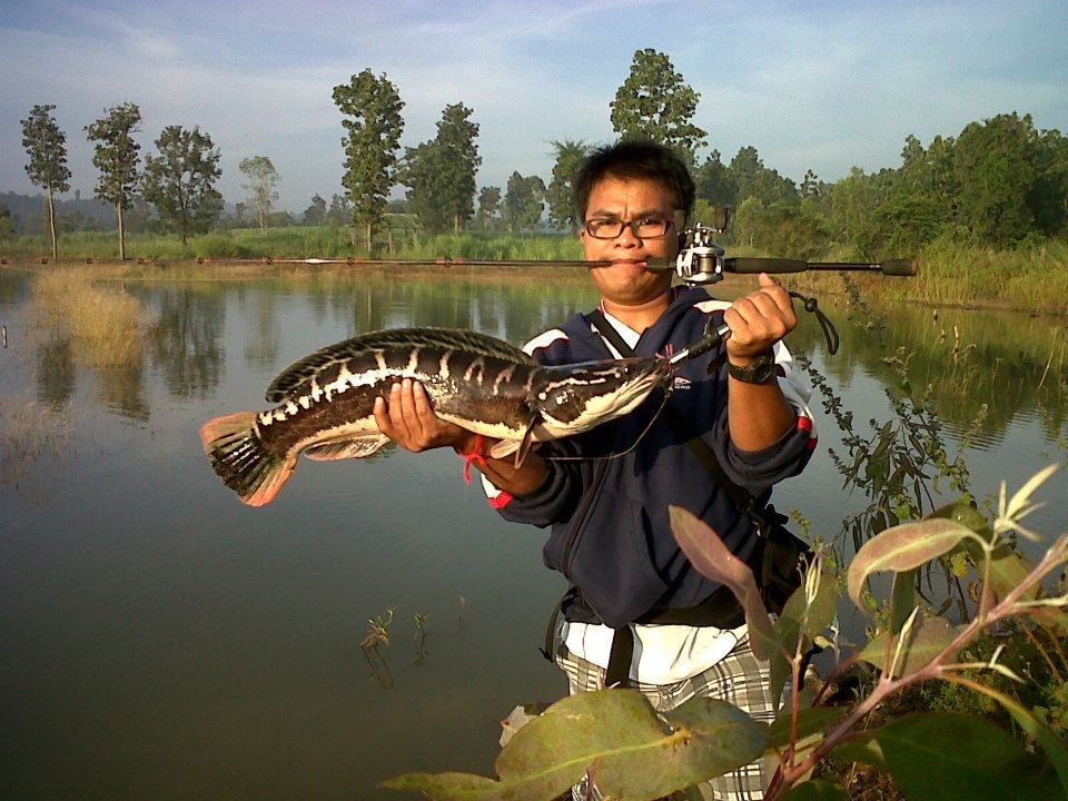 ทดลองโพสครับ