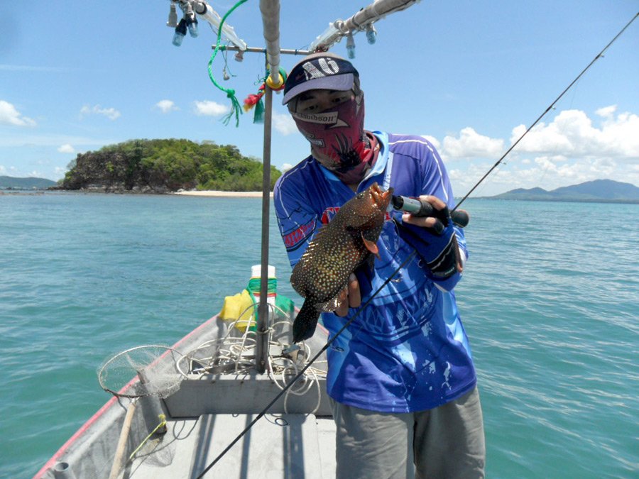 
 





                    ###################               ได้อ่านทุกข้อความแล้วนะครับ   ข