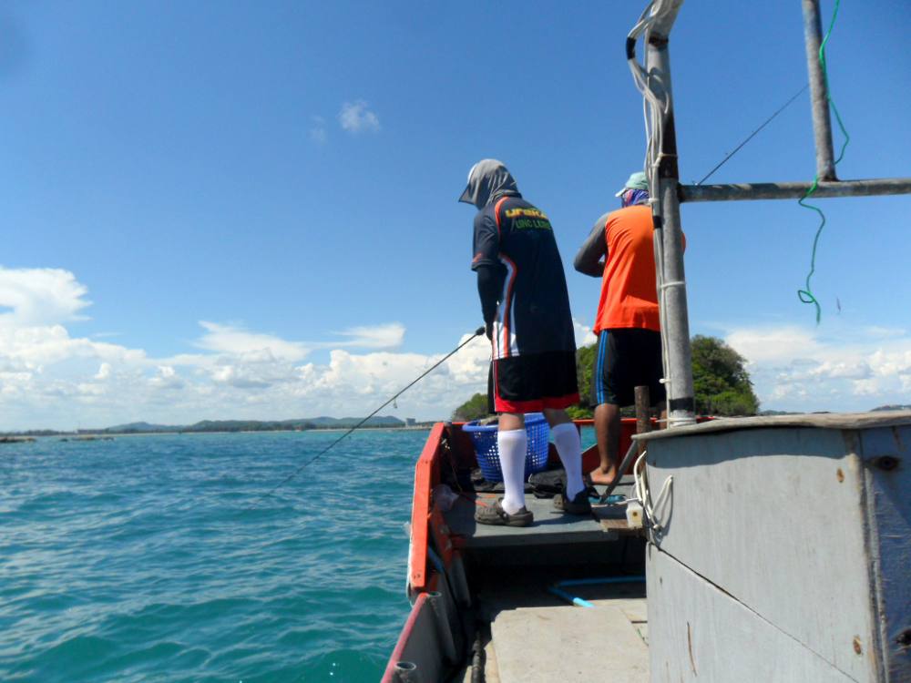 


น้าเล็ก  ก็โดน  ครับ  แต่ถ่ายเป็น คลิป  วิดิโอเอาไว้  พอเปิดมาไม่ชัด เลยไม่ได้ เอามาให้ชมนะครั