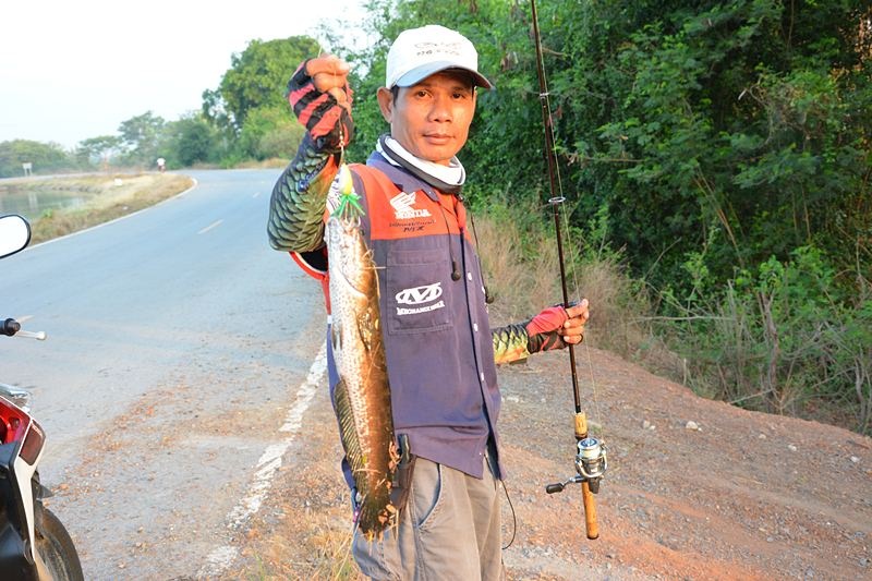  [b]"โครงการปลาตัวแรก"[/b]  เปิดประเดิม โดย พี่ทุย..ตามเคย  ครับผม !!!    :cool: :cool: :cool:

