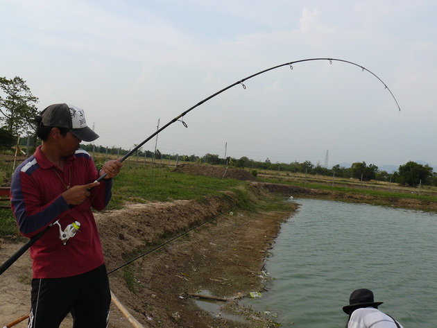 พี่ช้าง สระบุรี เย่อเข้ามาอีก :ohh: :ohh: :cool: :cool: :cool: