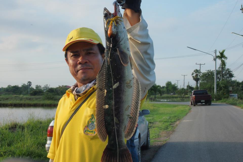 แจมหน่อยนะครับ