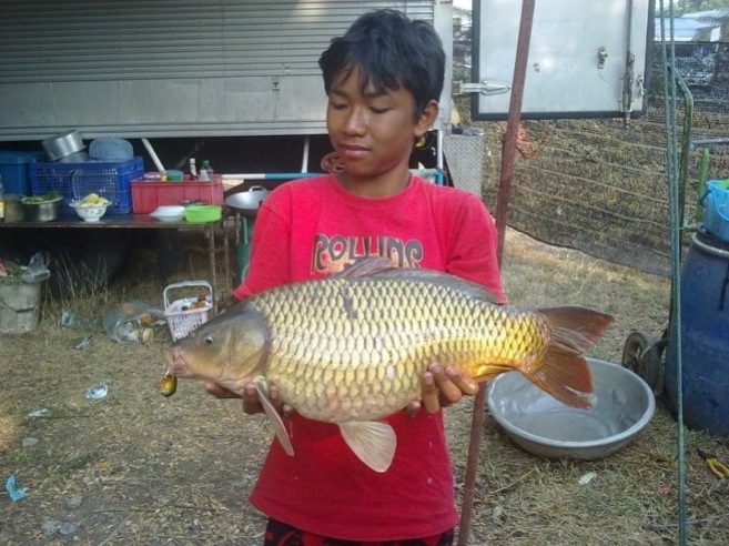 ปลาในก็กิน