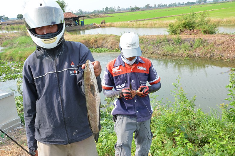 ปลดเบ็ด..เสร็จ น้าบัส..หิ้วไปใส่ถังให้  ครับผม !!!    :grin: :grin: :grin:

คนบาป  คนบาป  บาปมาก  