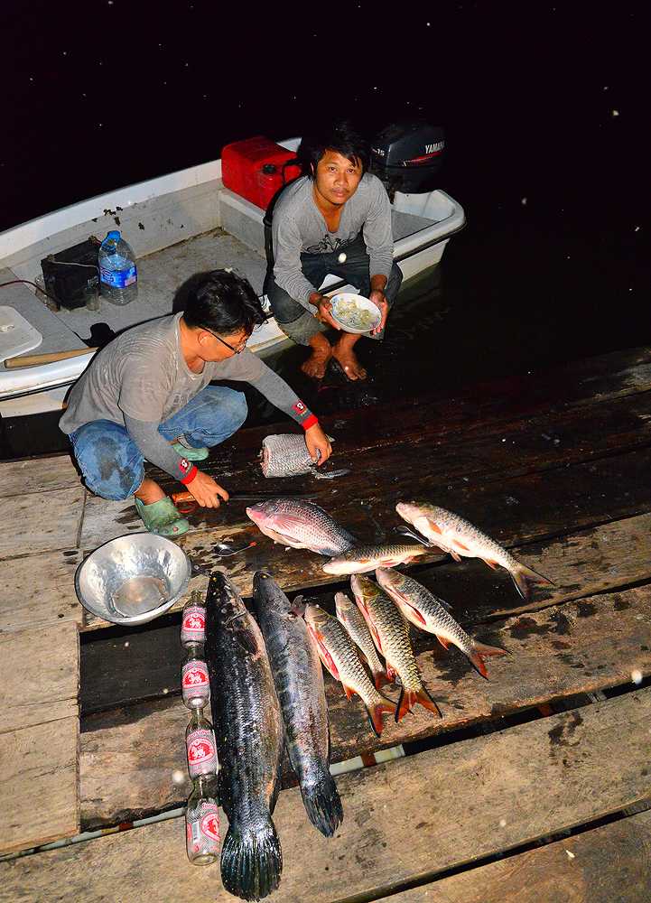 ทำปลากันครับ