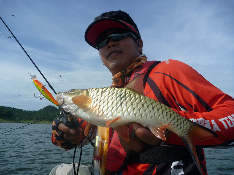  [center]ใช้ Flat Rap 8 เป็น search bait ตีดมตามข้างเกาะครับ 



สำหรับ [b]Rapala Flat Rap FLR-8