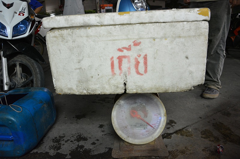 ปิดฝา..ลังโฟม  ยกขึ้นชั่ง ซะหน่อย  ครับผม !!!    :grin: :grin: :grin:

 :cheer: :cheer: :cheer: :c