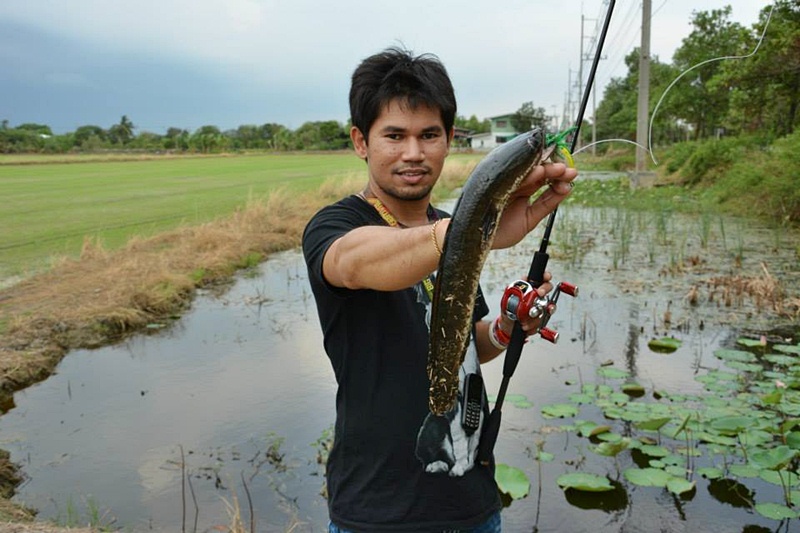 โอมิด..มาเปิดบิล ฝั่งเดียว กับ  ที่พี่ทุย..บอกให้ตี ซะด้วย    :grin: :grin: :grin:

 :cheer: :chee