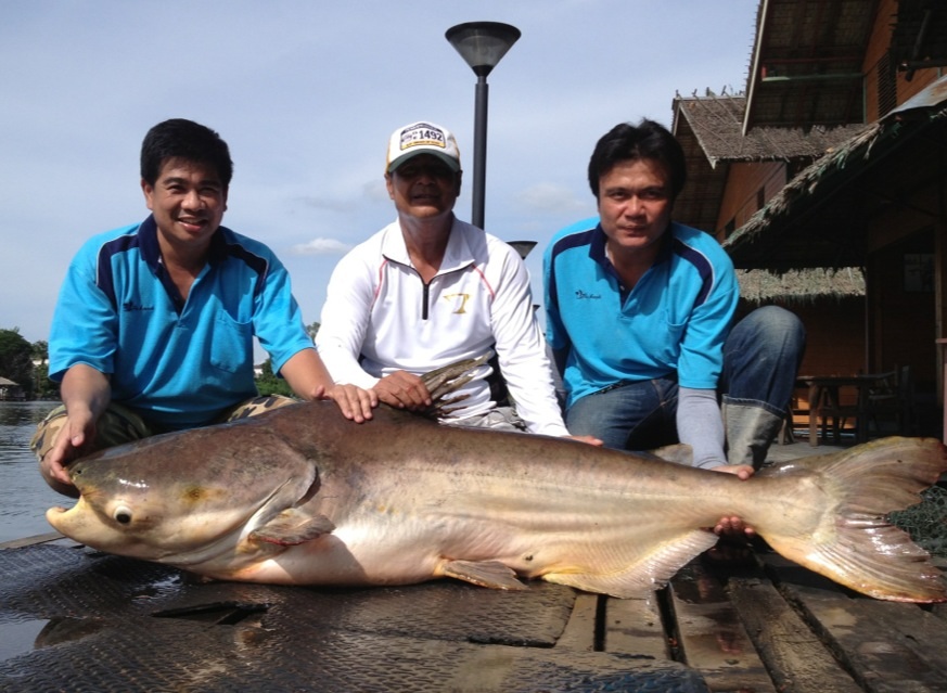 คุณพ่อปลัด/ลุงป๊อด/พี่นุ

ถ่ายรูปปลายืม ร่วมกันครับ
 :laughing: :laughing: :laughing: