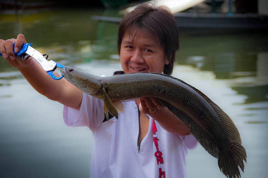 ตัดมาที่ช่วงเช้าของวันอาทิตย์กันครับ ตื่นเช้าออกไปขับเรือเล่น ไม่ถึง ชม ได้เจ้าตัวนี้กลับมาซะงั้น  :